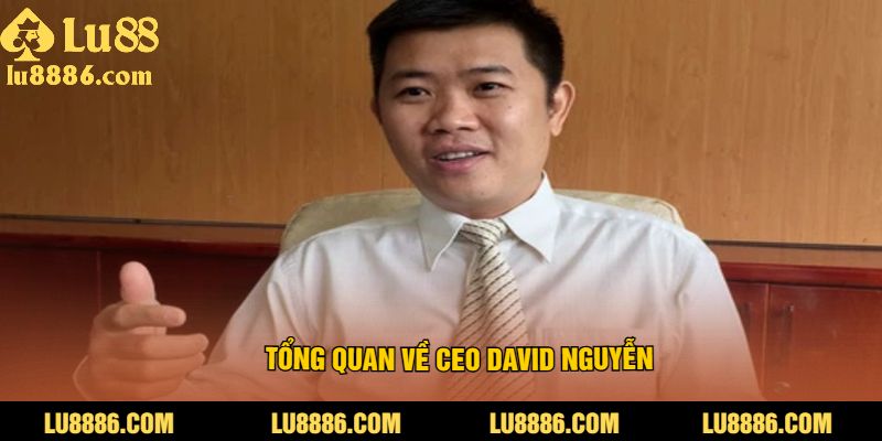Tổng quan về CEO David Nguyễn